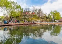 中国队夺得举重女子49公斤级金牌 中国队夺得举重女子49公斤级金牌